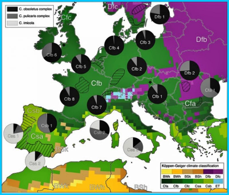 Iklim Benua Eropa