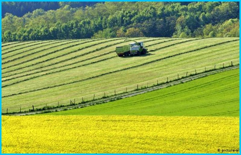 Keanekaragaman Hayati Eropa