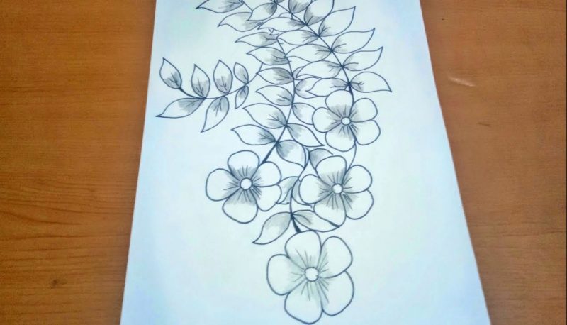 Sketsa Bunga Sederhana dan Mudah