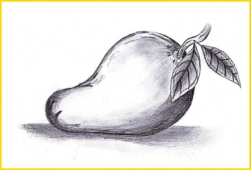 Sketsa buah Mangga dengan Gradasi