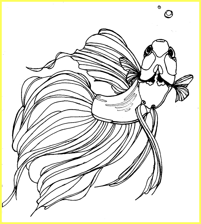 gambar sketsa ikan cupang silinder