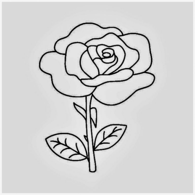 √ 2021 Sketsa Gambar Bunga Indah Unik Cantik Mudah Dibuat - Sindunesia