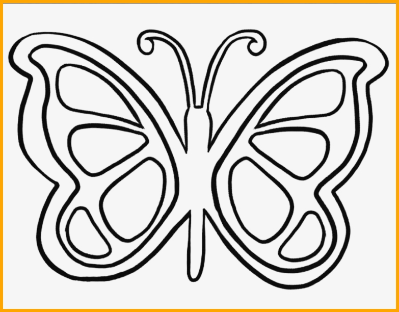 sketsa gambar hewan kupu kupu sederhana