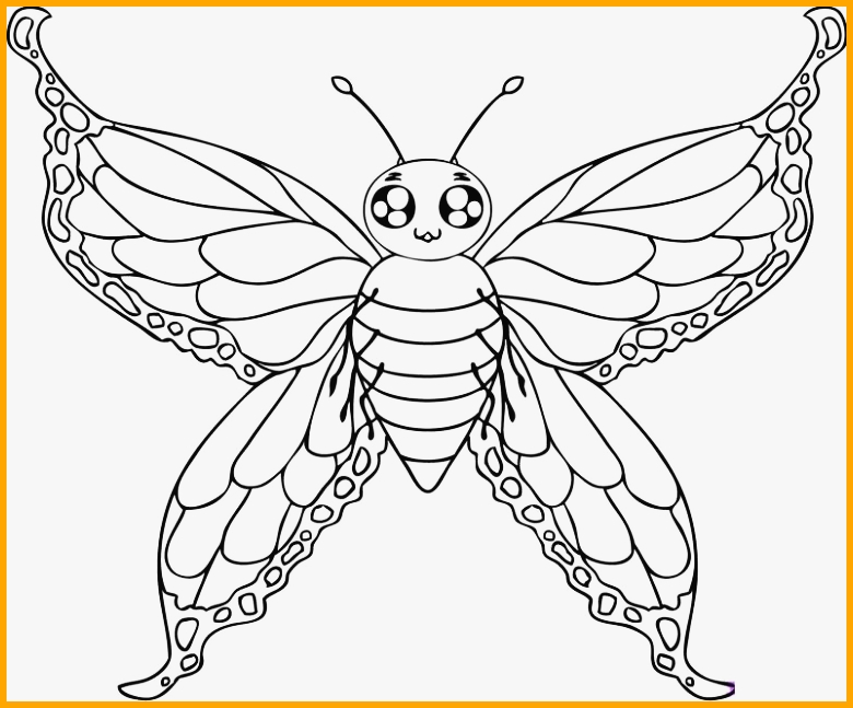 sketsa gambar hewan kupu kupu