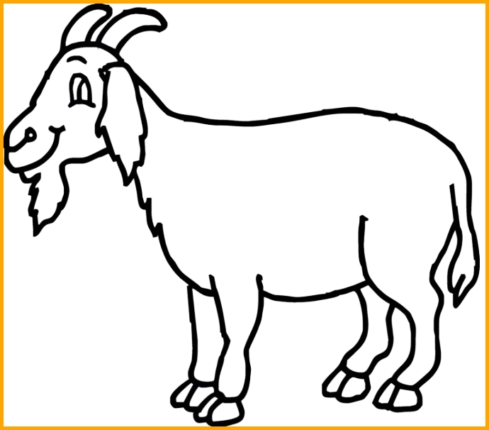 sketsa hewan berkaki empat kambing