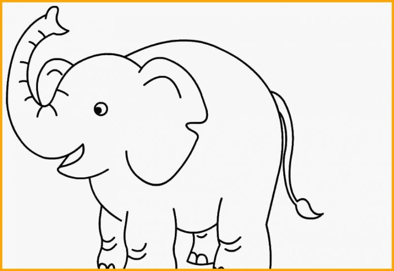 sketsa hewan gajah