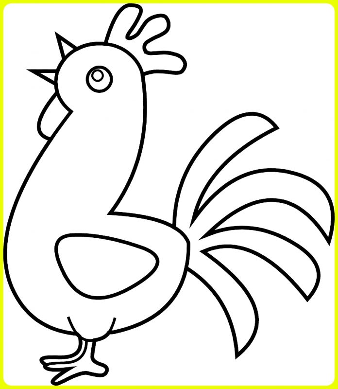 gambar sketsa ayam sederhana