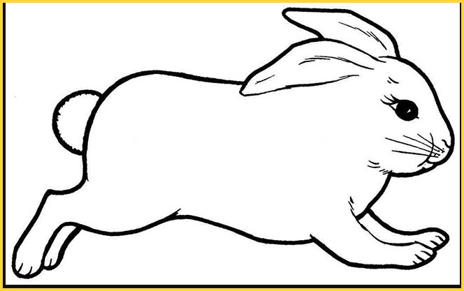 sketsa gambar kelinci lucu berlarian