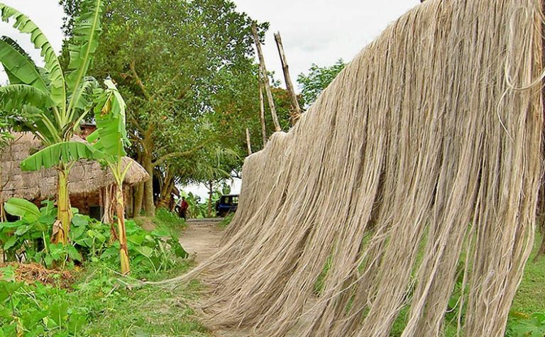 11 Macam Kerajinan dari Serat Tumbuhan (Jenis Serat & Contoh Kerajinan)